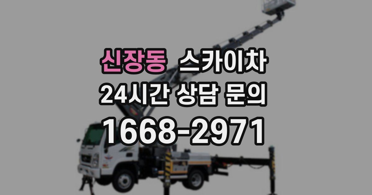 신장동 스카이차