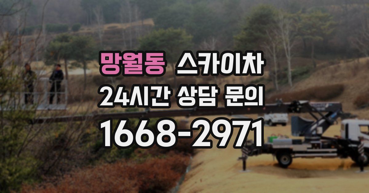망월동 스카이차