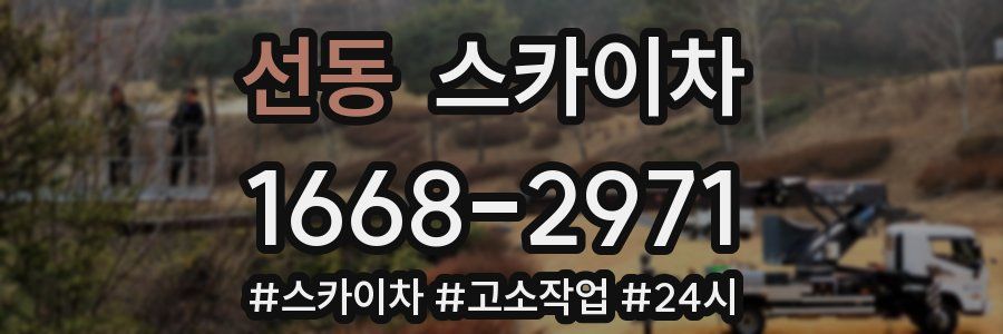 선동 스카이차