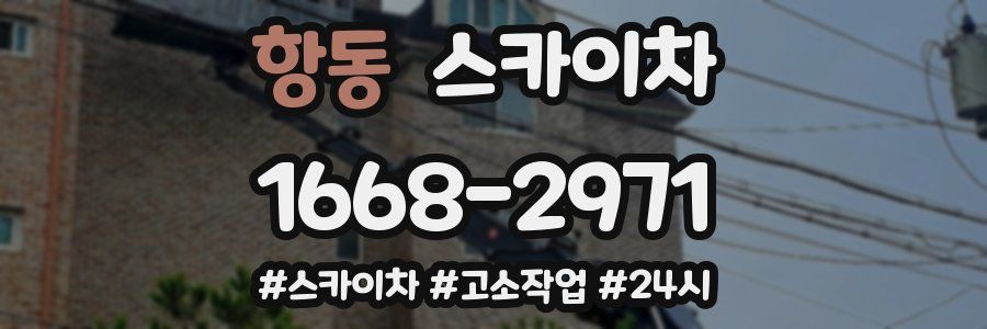 항동 스카이차