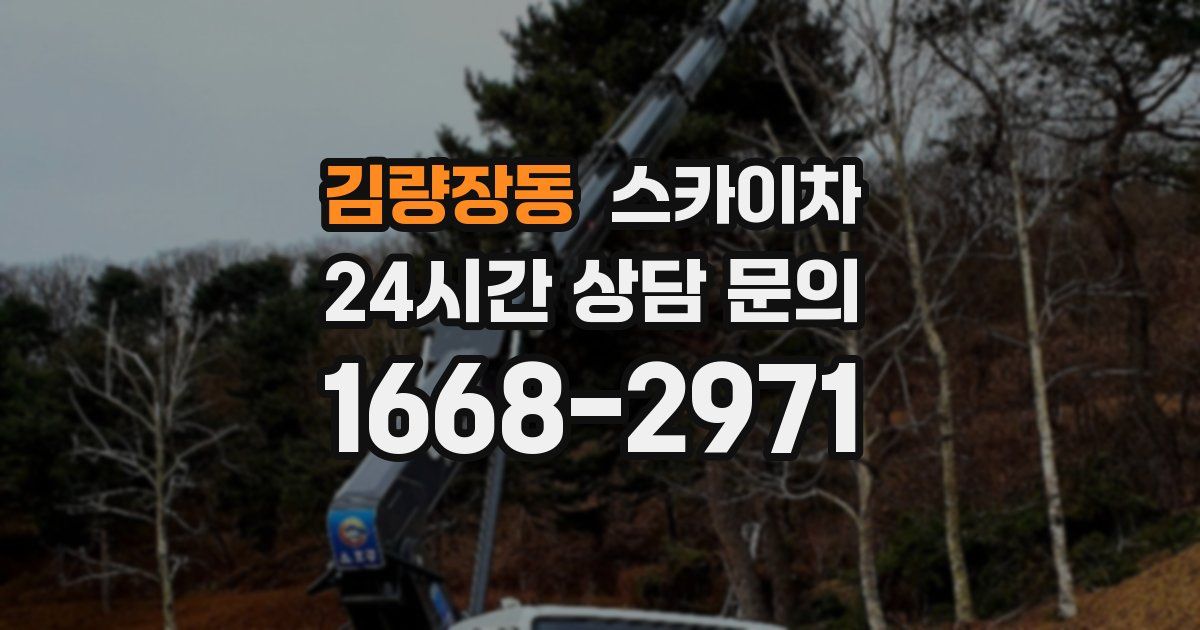 김량장동 스카이차