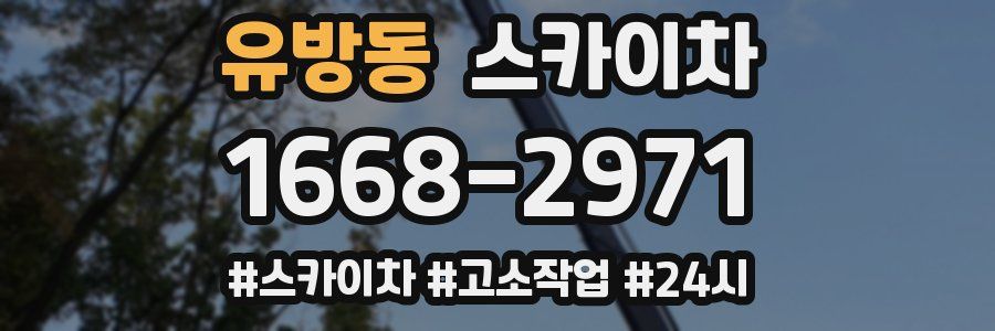 유방동 스카이차