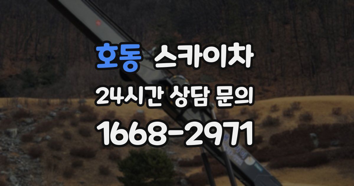 호동 스카이차