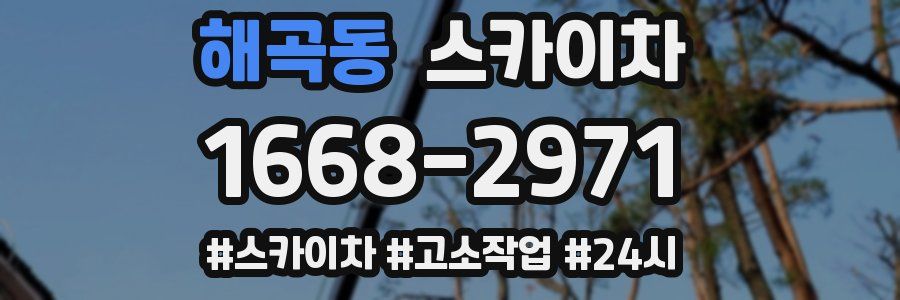 해곡동 스카이차