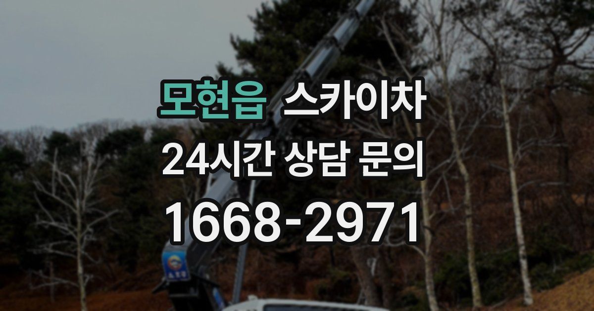모현읍 스카이차
