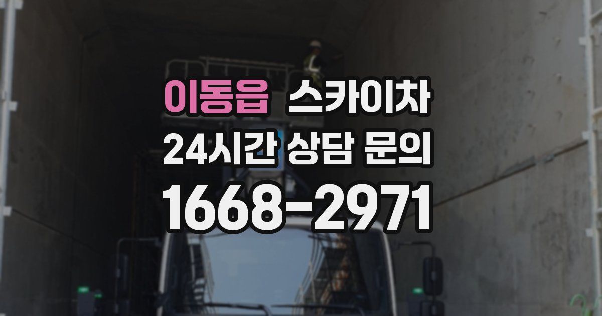 이동읍 스카이차