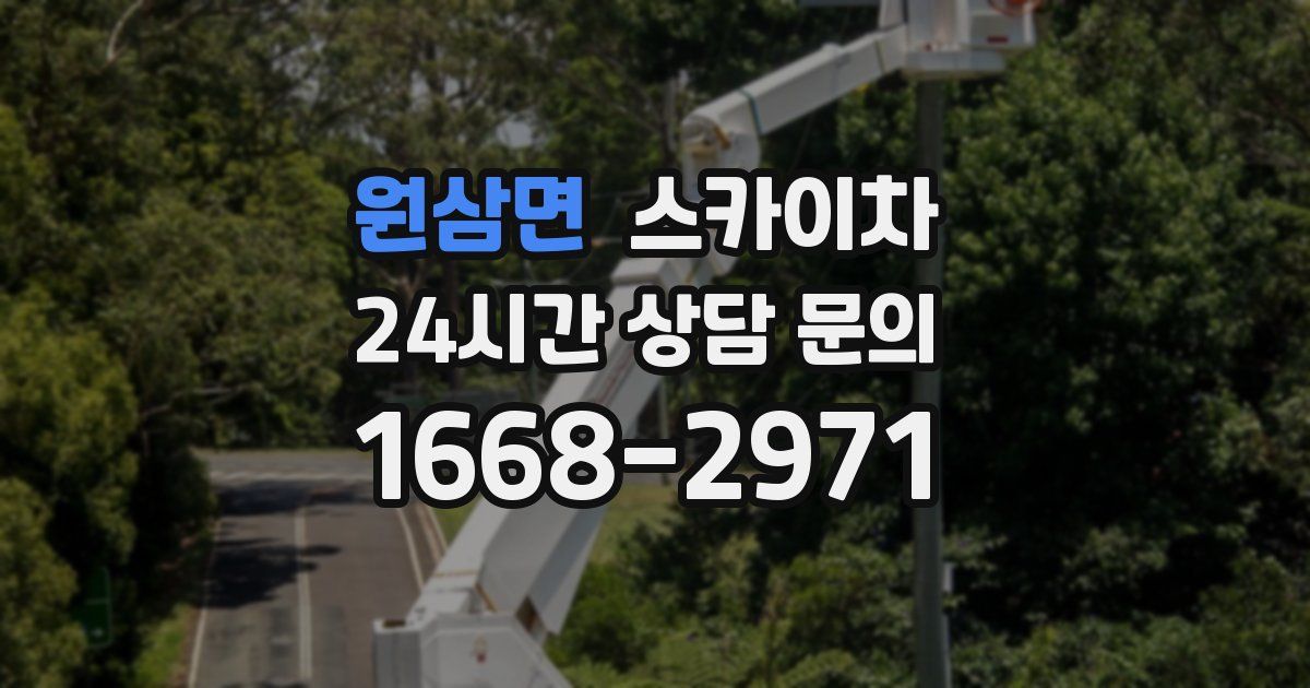 원삼면 스카이차