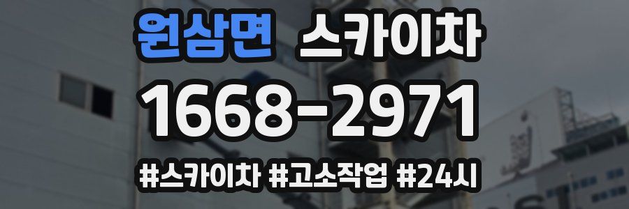 원삼면 스카이차