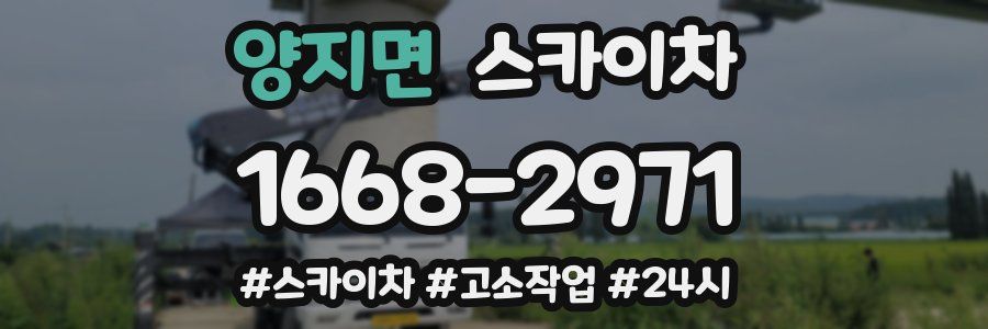 양지면 스카이차