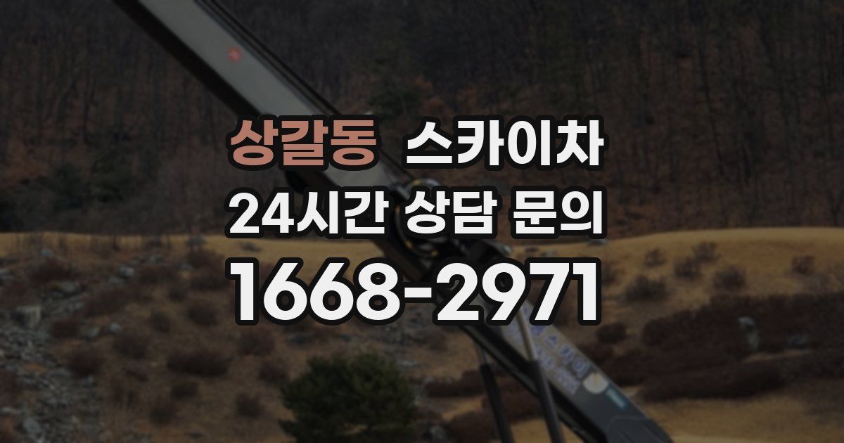 상갈동 스카이차