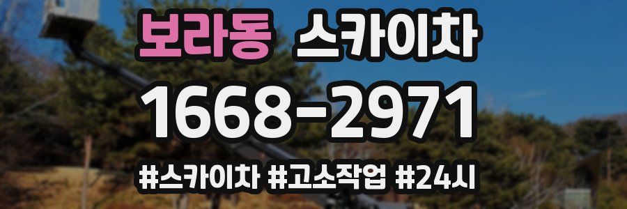 보라동 스카이차
