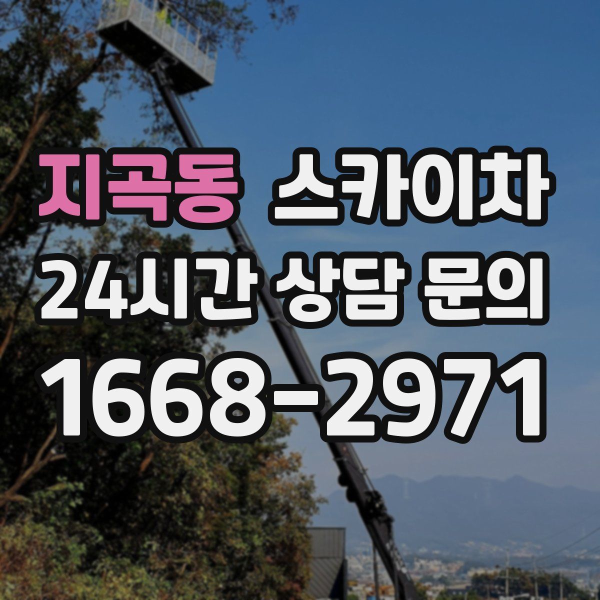 지곡동 스카이차