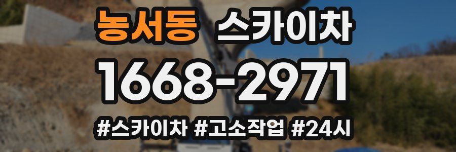 농서동 스카이차