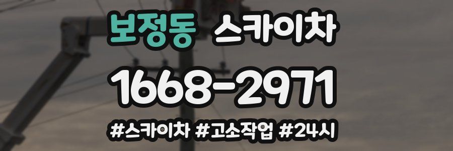 보정동 스카이차