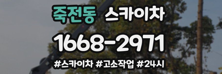 죽전동 스카이차