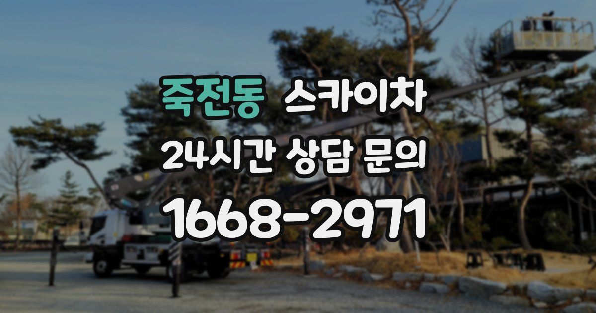 죽전동 스카이차