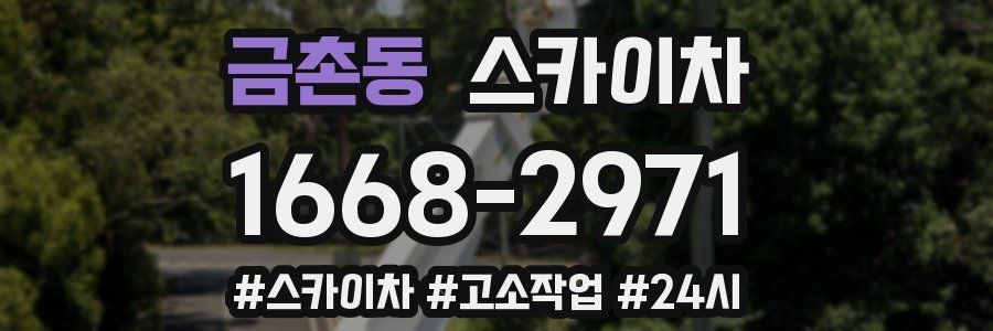 금촌동 스카이차