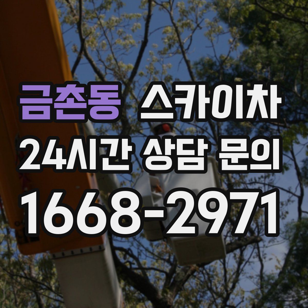 금촌동 스카이차