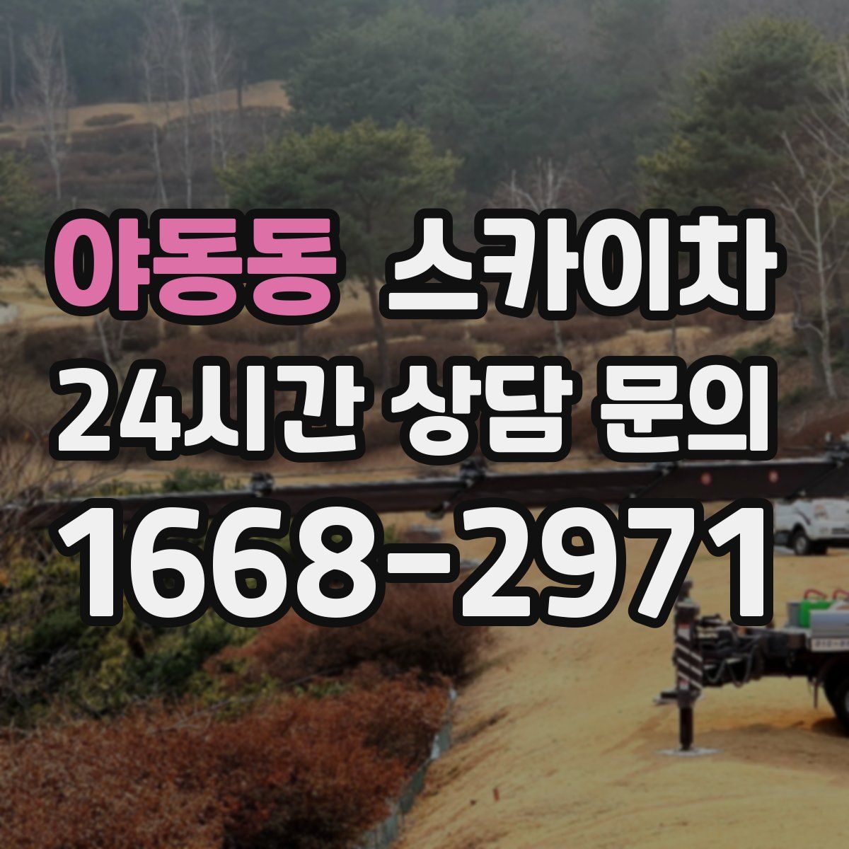 야동동 스카이차