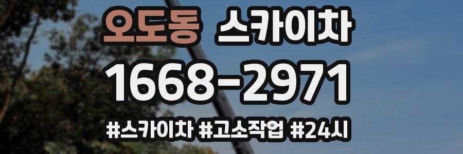 오도동 스카이차