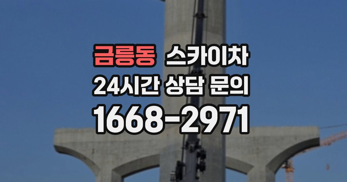 금릉동 스카이차