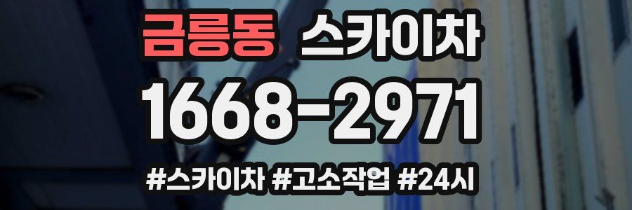 금릉동 스카이차
