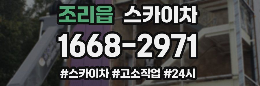 조리읍 스카이차