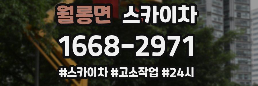월롱면 스카이차