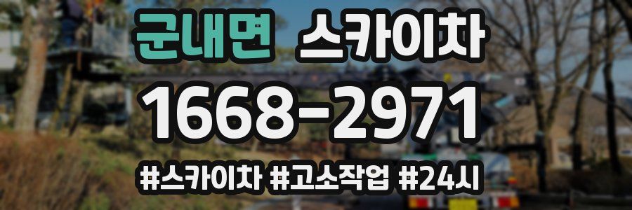 군내면 스카이차