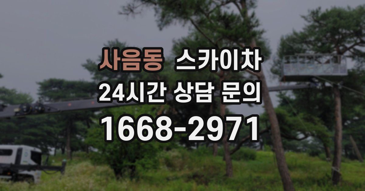 사음동 스카이차