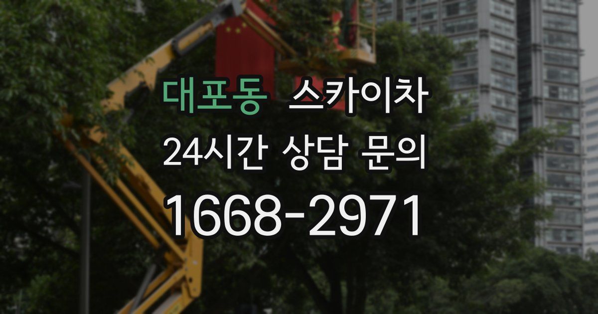 대포동 스카이차