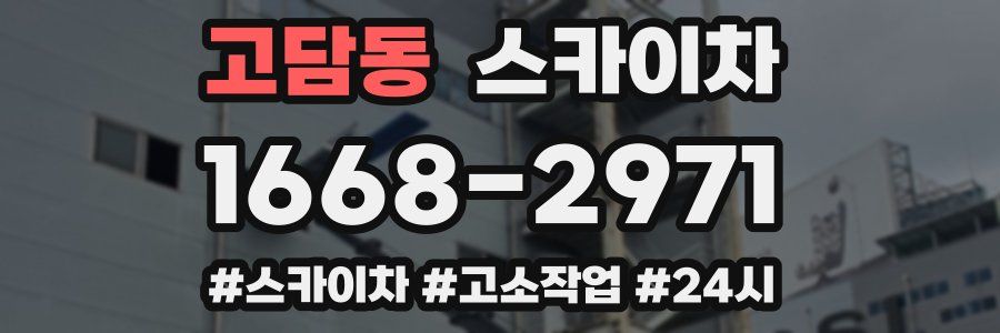 고담동 스카이차