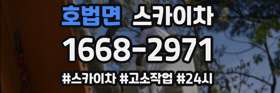 호법면 스카이차