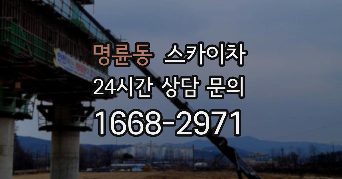 명륜동 스카이차