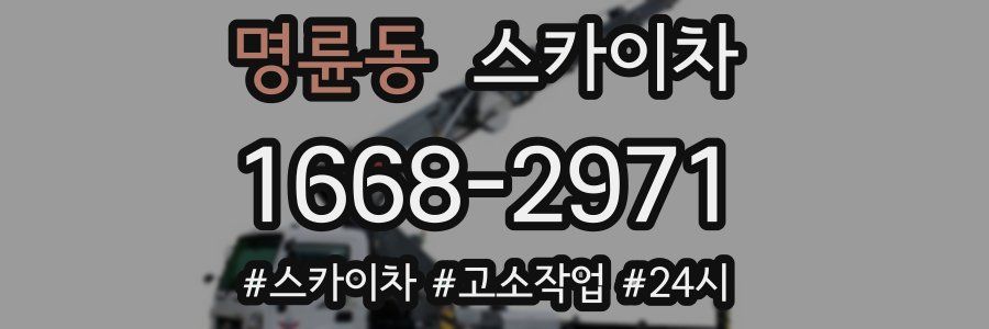 명륜동 스카이차