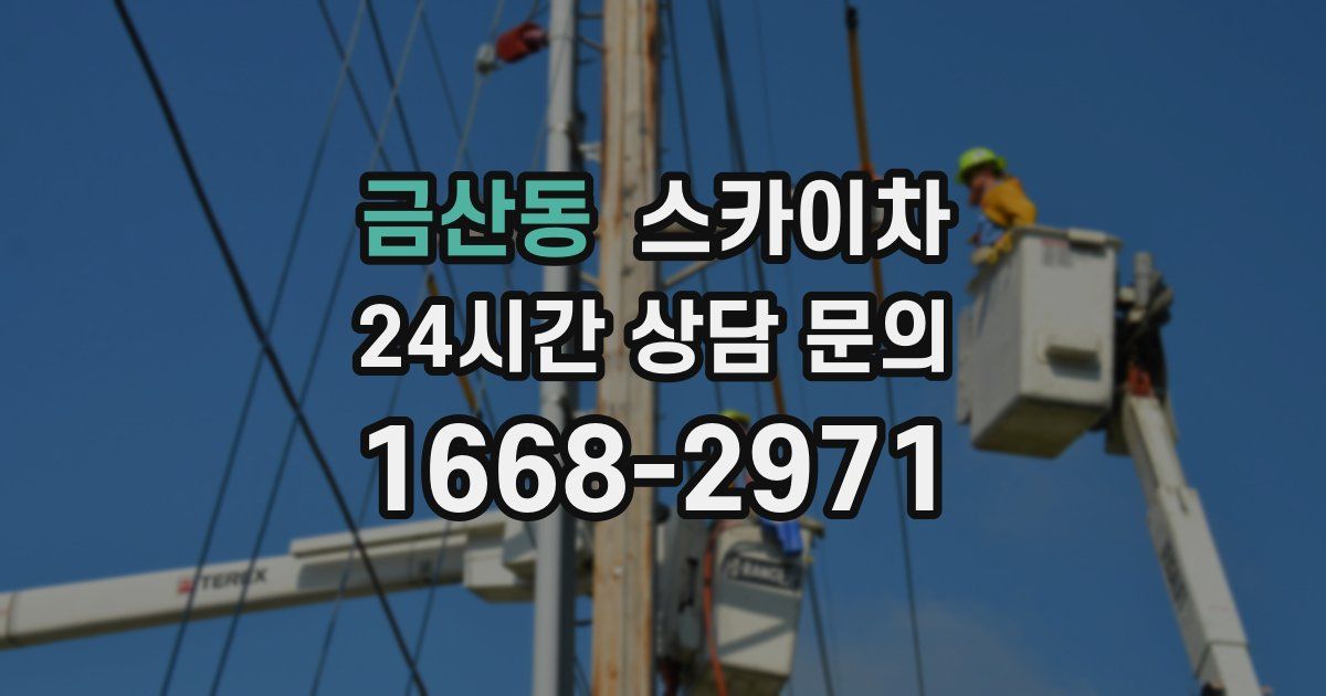 금산동 스카이차