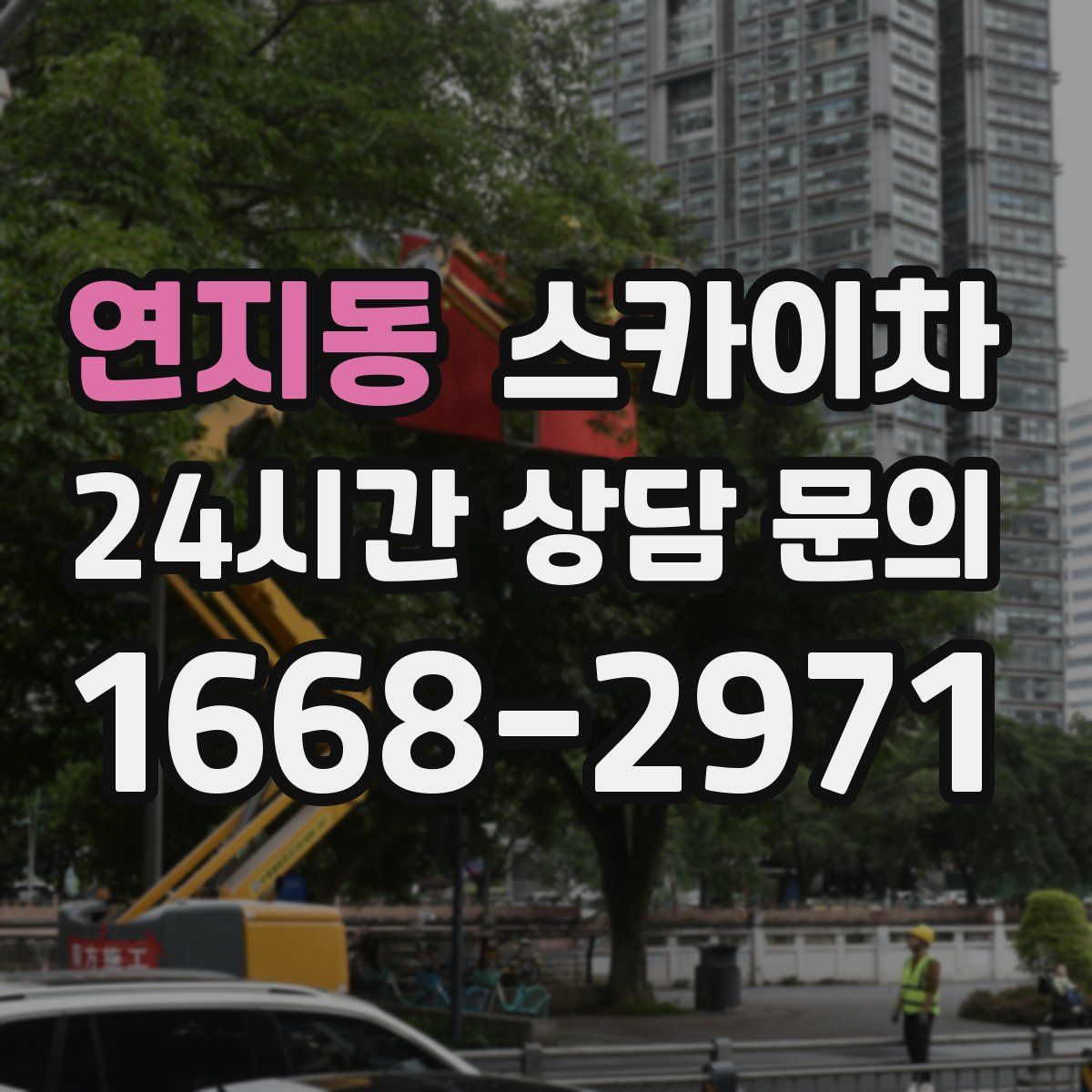 연지동 스카이차