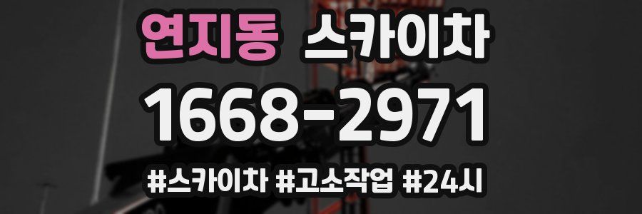 연지동 스카이차