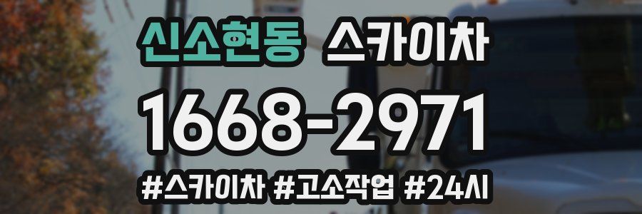 신소현동 스카이차