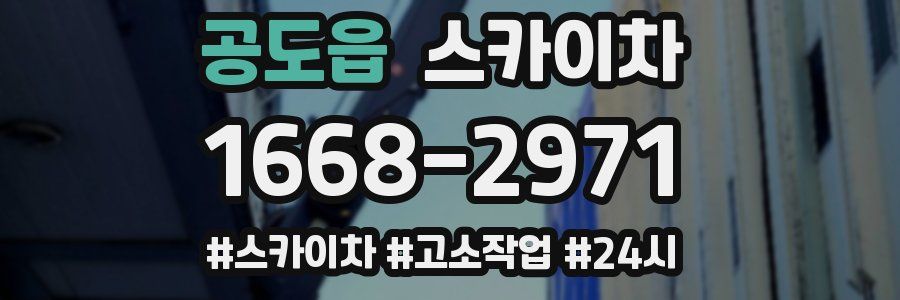 공도읍 스카이차