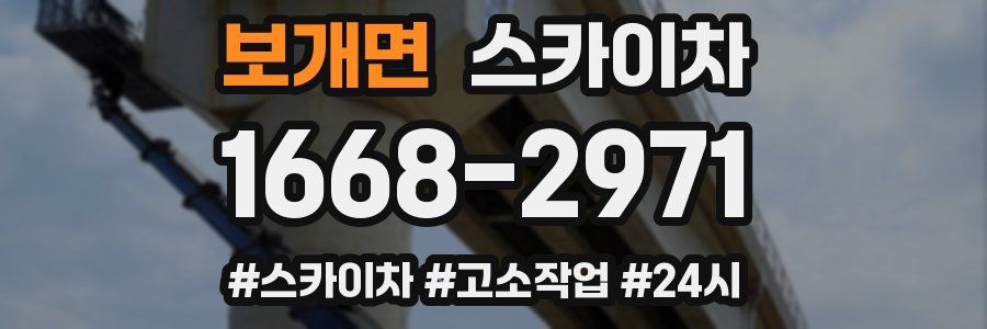 보개면 스카이차