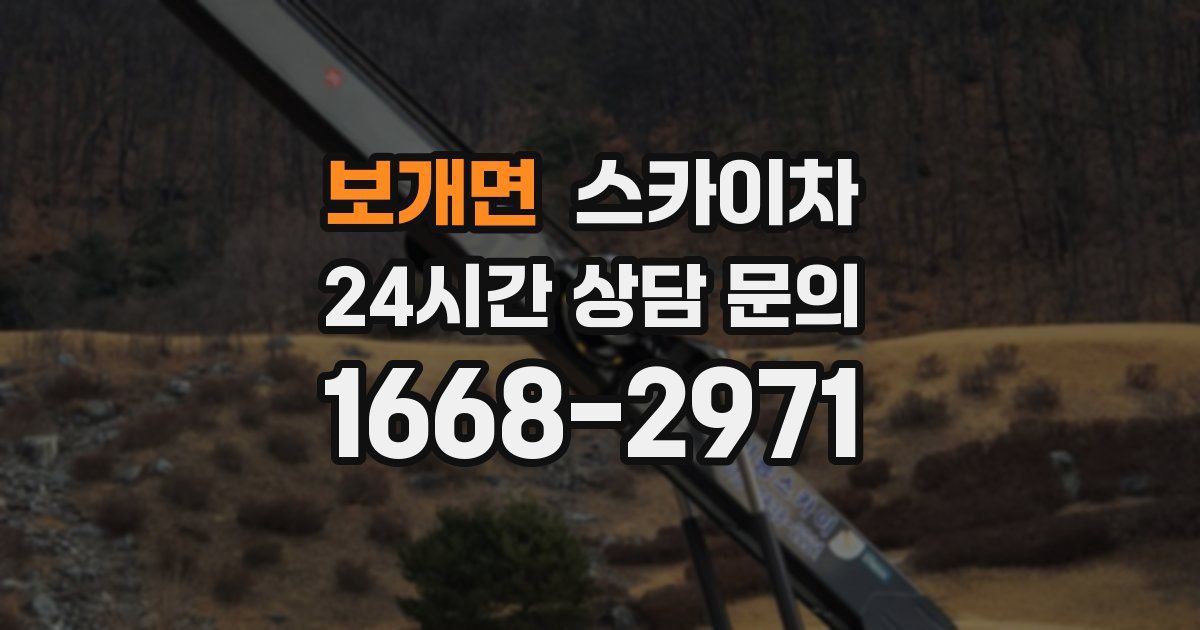 보개면 스카이차