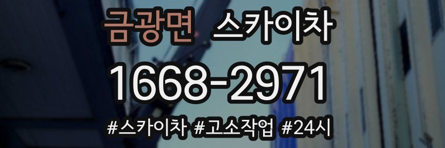 금광면 스카이차