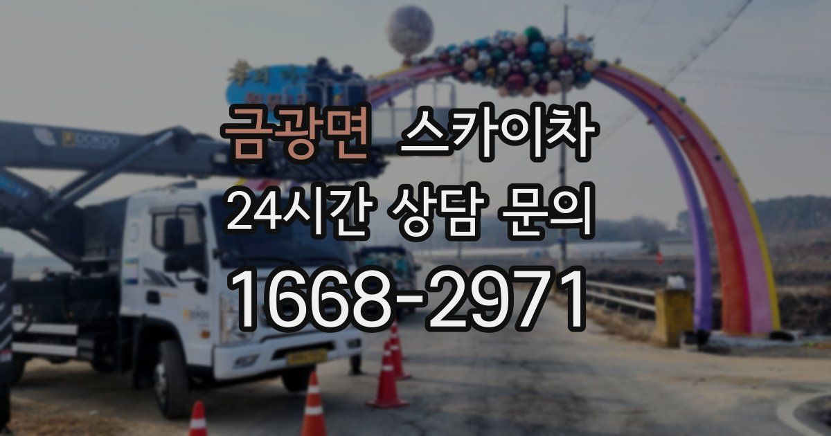 금광면 스카이차