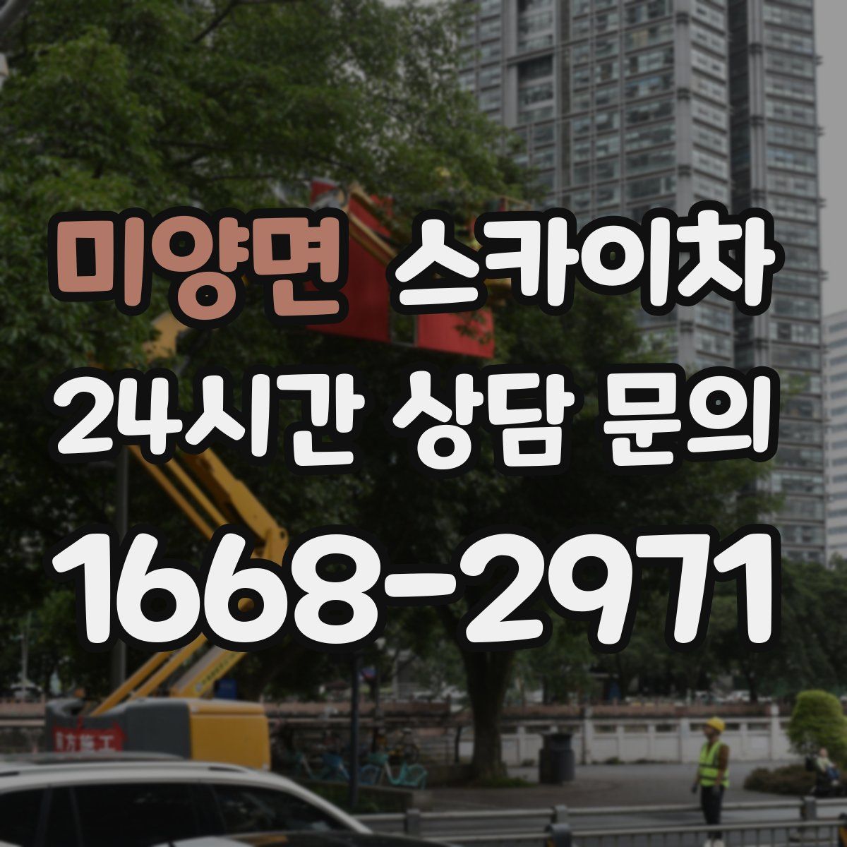 미양면 스카이차