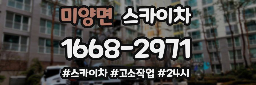 미양면 스카이차