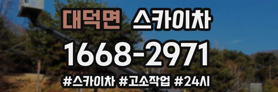 대덕면 스카이차