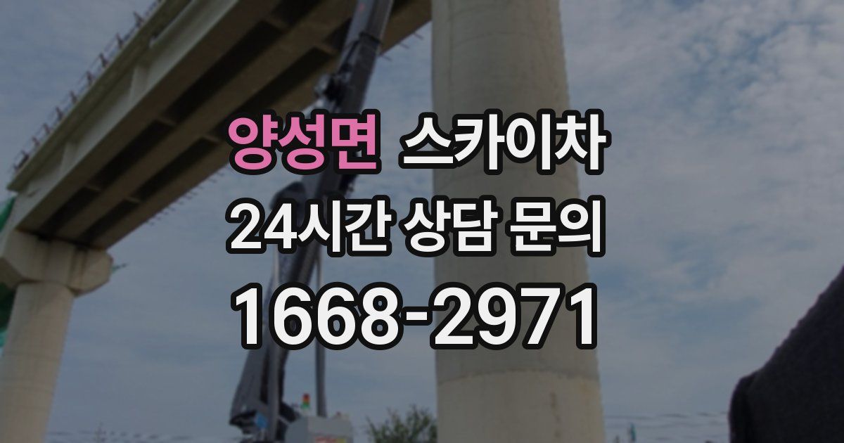 양성면 스카이차
