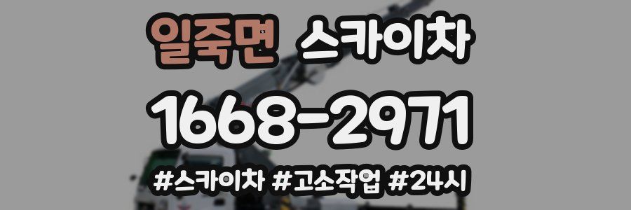 일죽면 스카이차