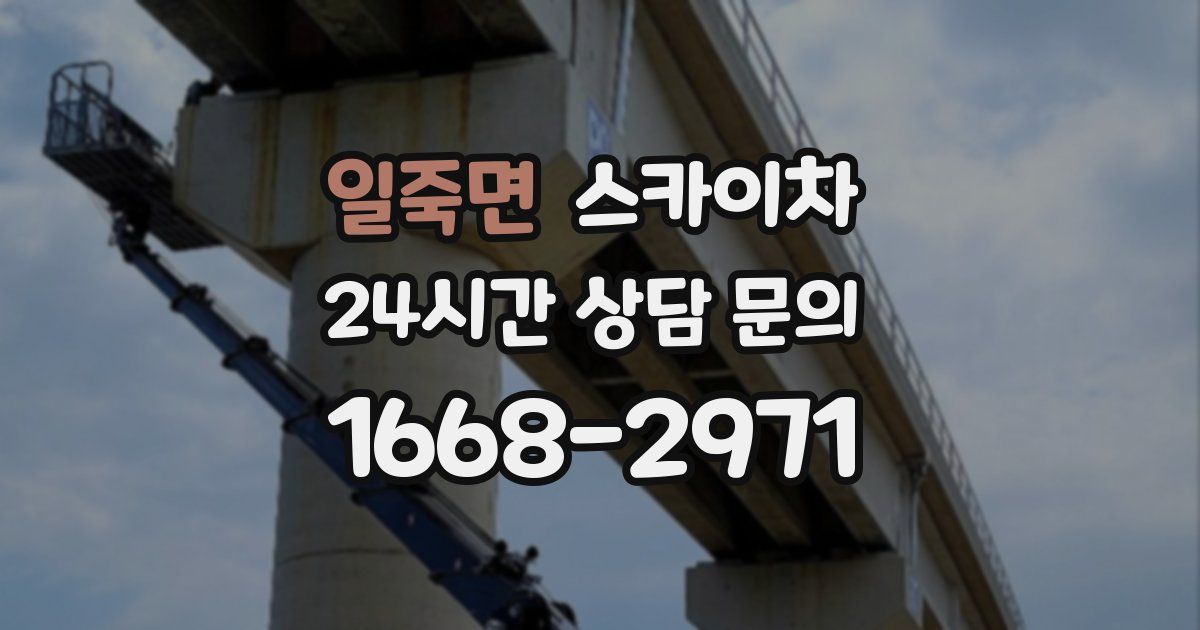 일죽면 스카이차